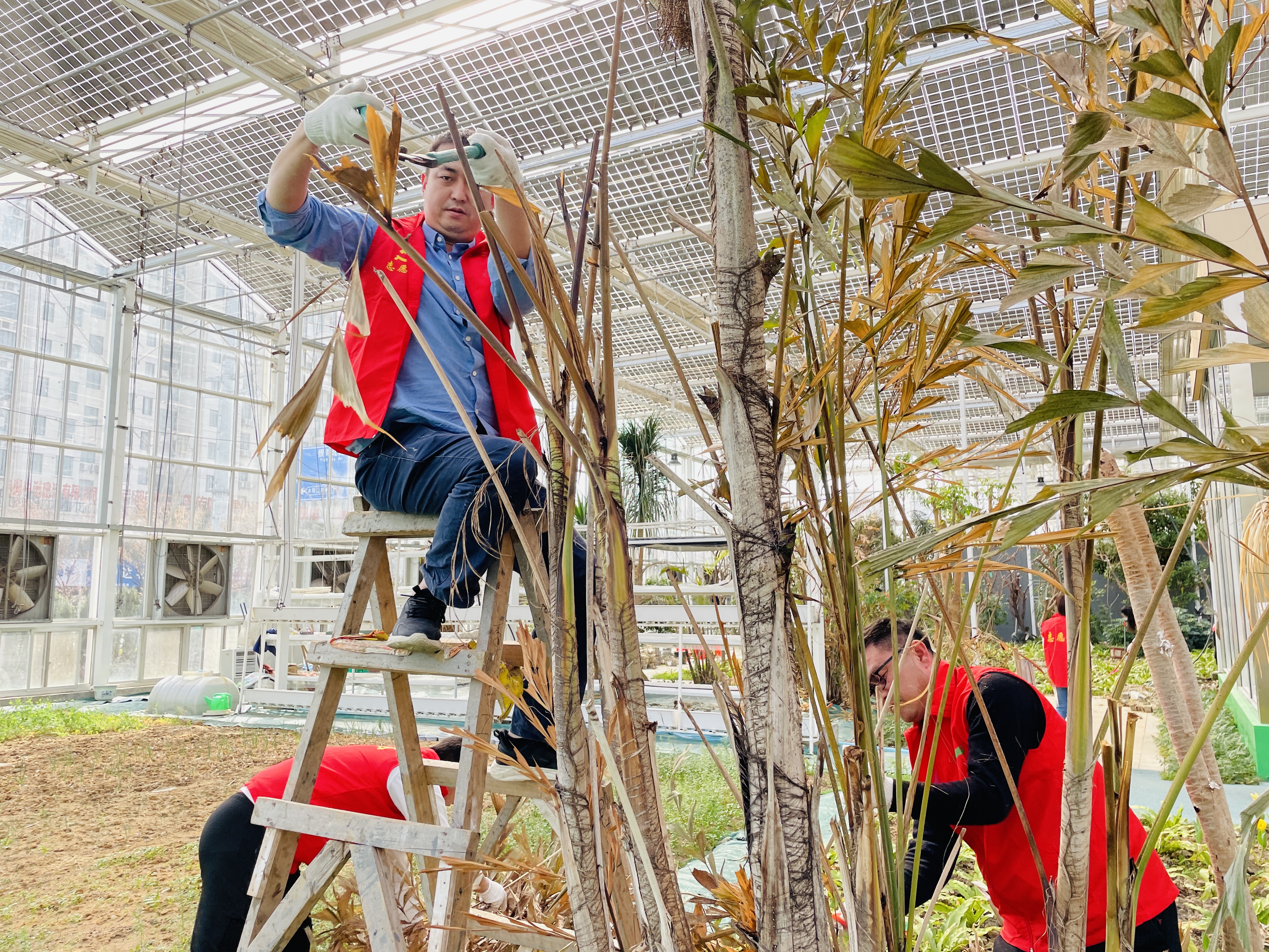 必威BETWAY西汉姆联