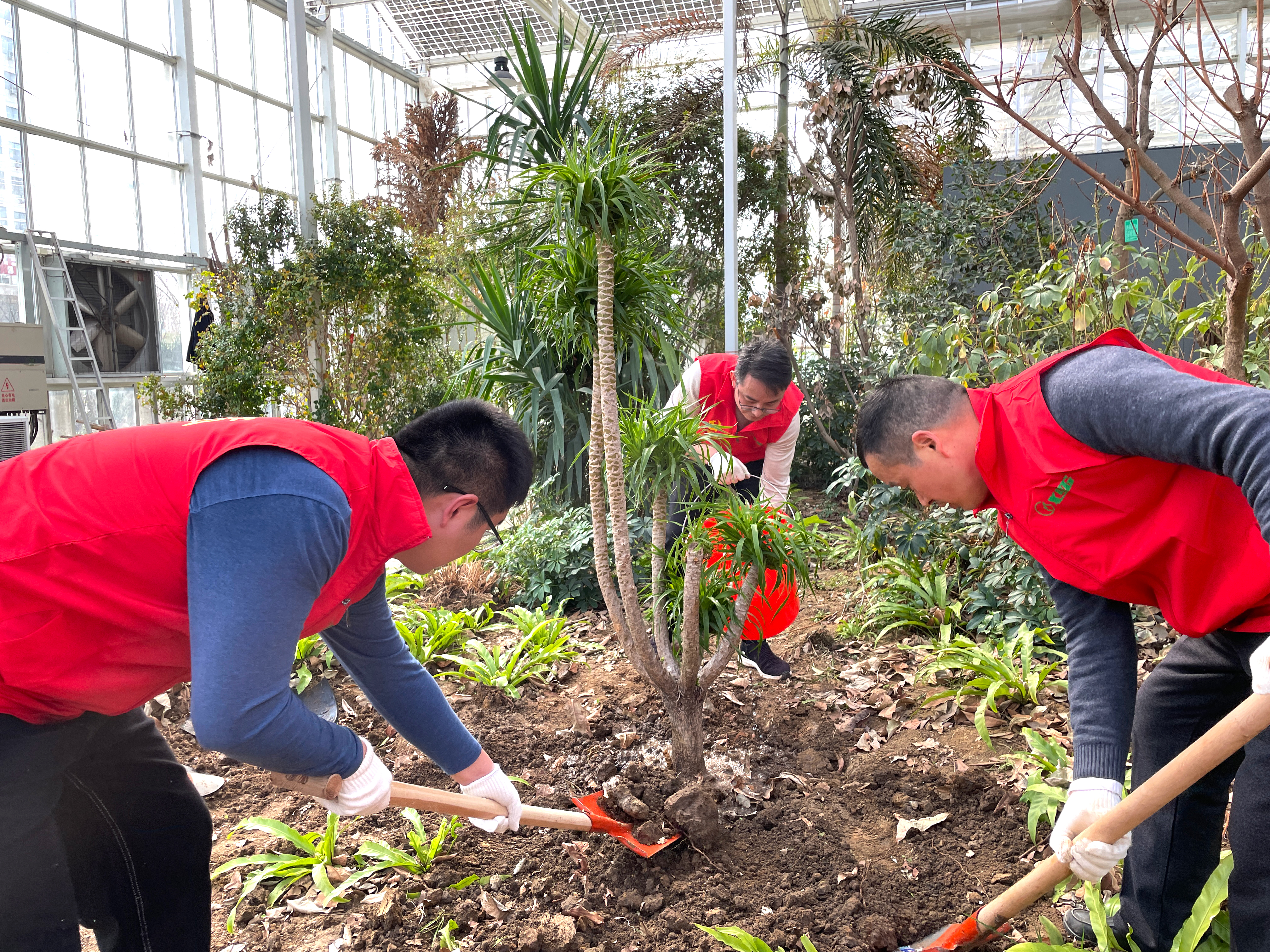 必威BETWAY西汉姆联